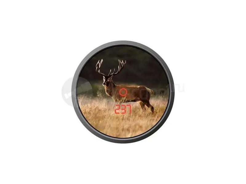 Бинокль Zeiss 8x56 RF Victory
