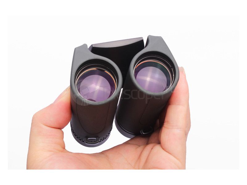 Nikon Sportstar EX 10x25 DCF black