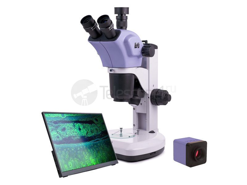 MAGUS Stereo D9T LCD MAGUS Stereo D9T LCD