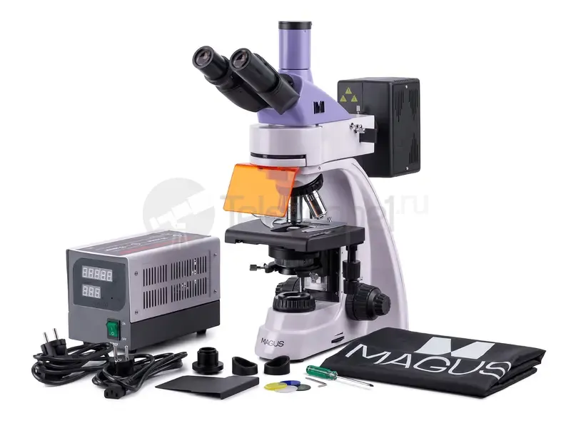 Микроскоп MAGUS Lum 400
