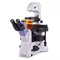 Микроскоп MAGUS Lum V500L
