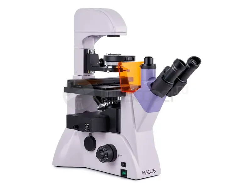 Микроскоп MAGUS Lum V500L
