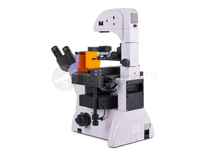 Микроскоп MAGUS Lum V500L