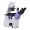 Микроскоп MAGUS Bio VD300
