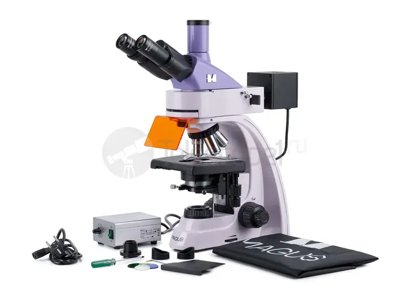 Микроскоп MAGUS Lum D400L