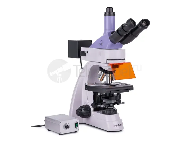 Микроскоп MAGUS Lum D400L