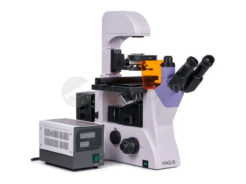 Микроскоп MAGUS Lum VD500 LCD