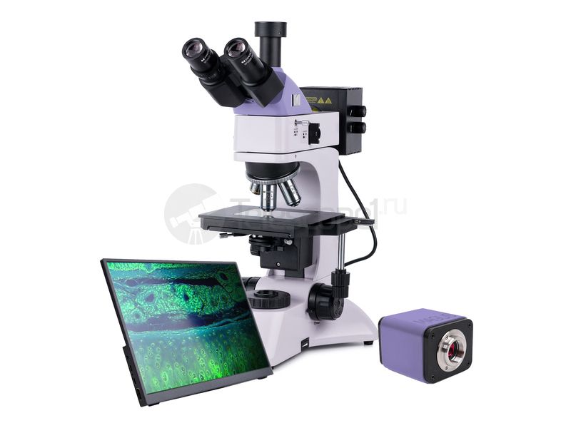 MAGUS Metal D600 LCD