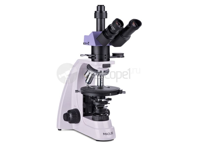 MAGUS Pol D800 LCD MAGUS Pol D800 LCD