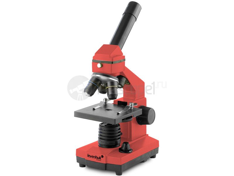 Levenhuk Rainbow 2L PLUS Апельсин