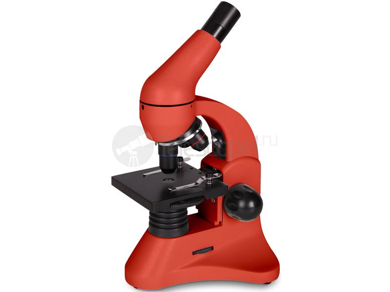 Levenhuk Rainbow 50L Апельсин