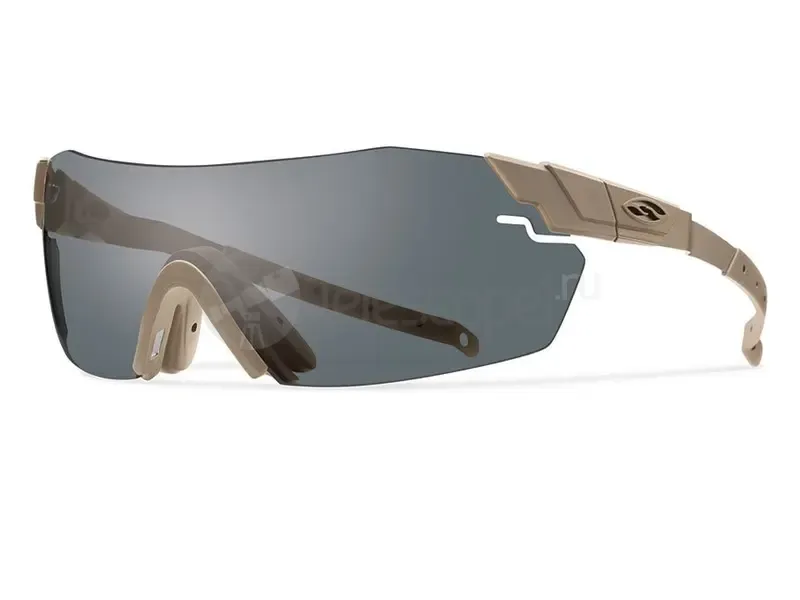 Тактические очки Smith Optics PIVLOCK ECHO PVEPCGYIGT499