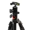 Falcon Eyes Hangman 160 BH2