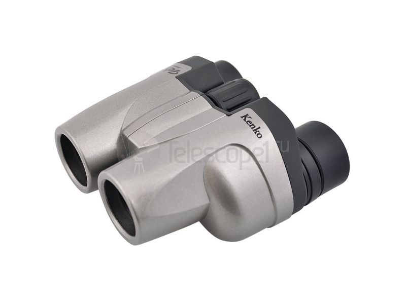 Kenko UltraView M 8x25 FMC (silver)