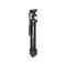 Штатив Manfrotto MK290LTA3-V Light (с головкой)