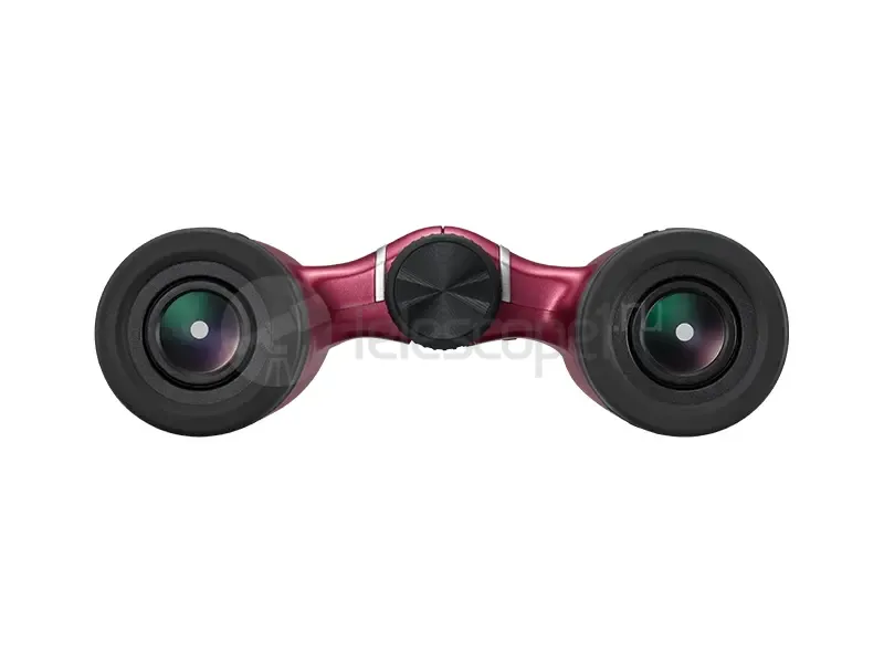Бинокль Nikon Aculon T02 8x21 red