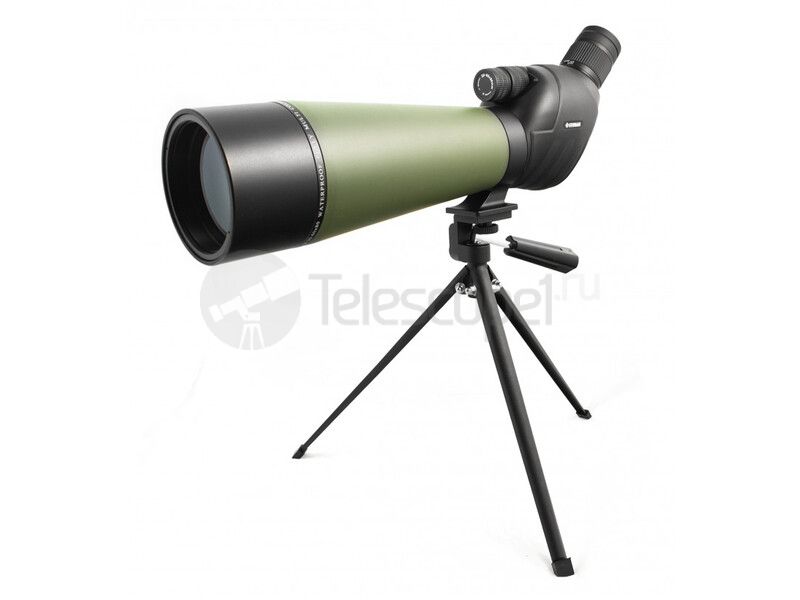 Sturman 20-60x80