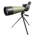 Sturman 20-60x80