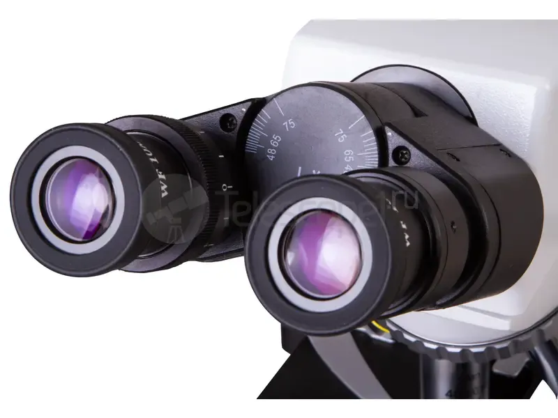 Микроскоп Levenhuk MED D40T (тринокулярный)