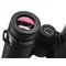 Бинокль Zeiss Victory SF 8x32