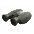 Canon 12x32 IS