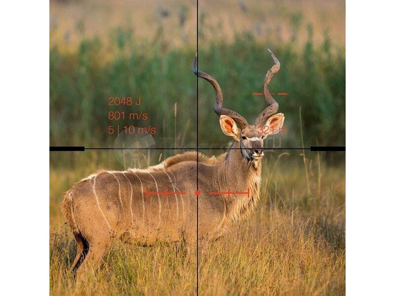 Swarovski DS Gen.II 5-25x52 SR (4A-I)