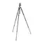 Manfrotto Befree Advanced MKBFRTA4BK-BH (с шаровой головой MH494)