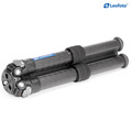Штатив трипод Leofoto LS-362C CARBON mini (резьба 3/8) Штатив трипод Leofoto LS-362C CARBON mini (резьба 3/8)