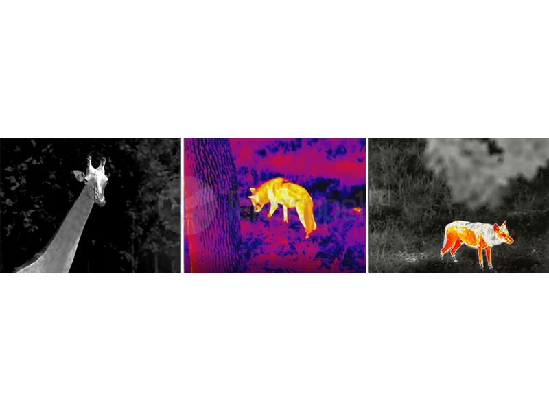 iRay xEye E3N iRay xEye E3N