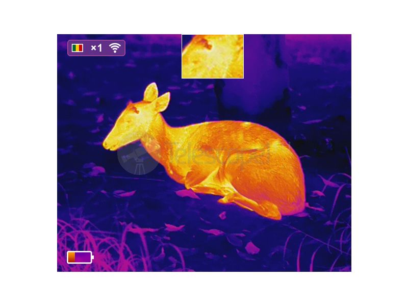 iRay xEye E3N iRay xEye E3N