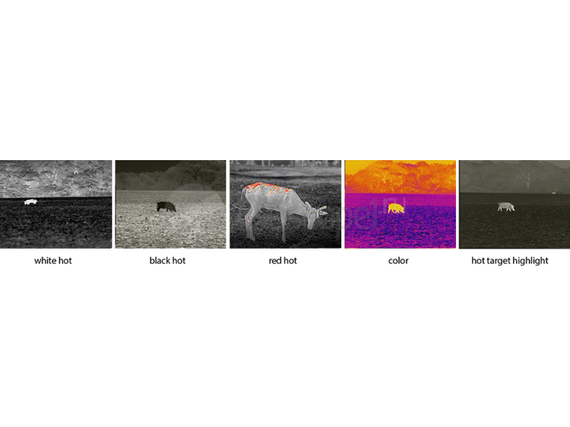 iRay xEye E2N v2 iRay xEye E2N v2