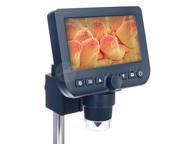 Цифровой Discovery Artisan 64