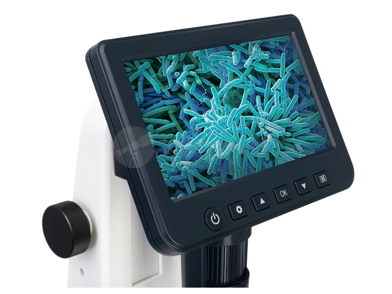 Цифровой Discovery Artisan 512