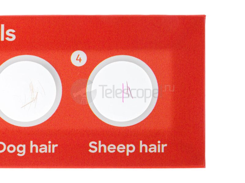 Набор микропрепаратов Discovery «Флора и фауна», 24 шт Набор микропрепаратов Discovery «Флора и фауна», 24 шт