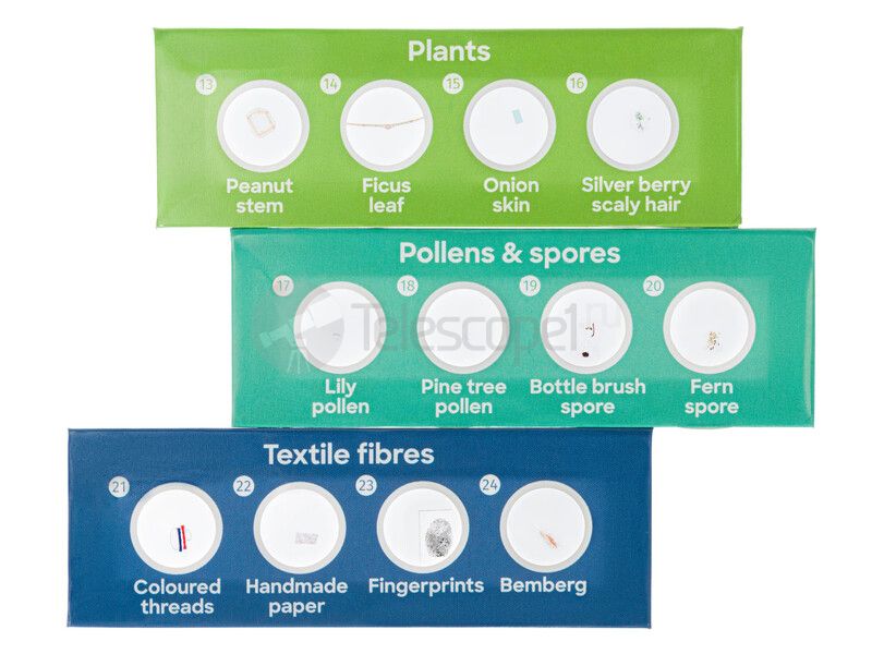 Набор микропрепаратов Discovery «Флора», 12 шт