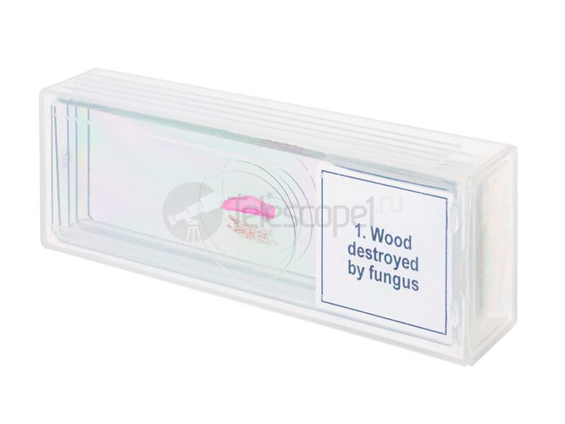 Набор микропрепаратов Discovery Prof DPS 5. «Мутации»