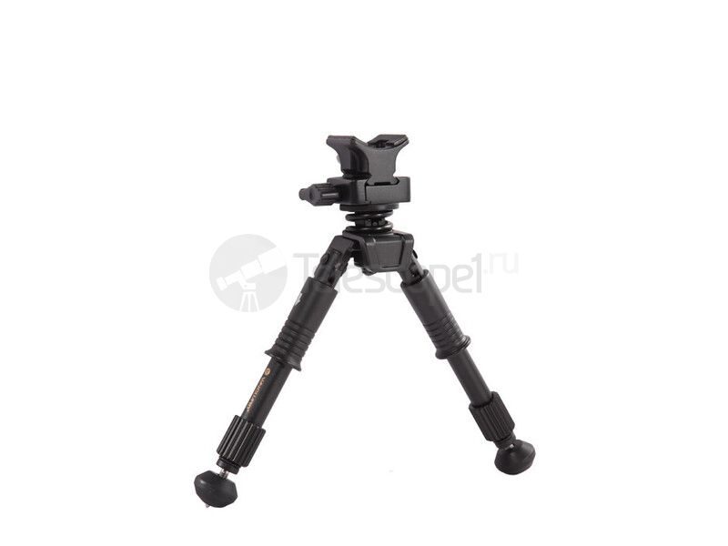 Vanguard Equalizer 1QS