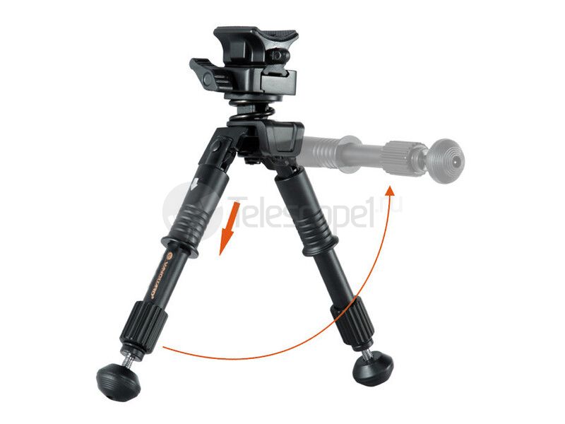 Vanguard Equalizer 1QS