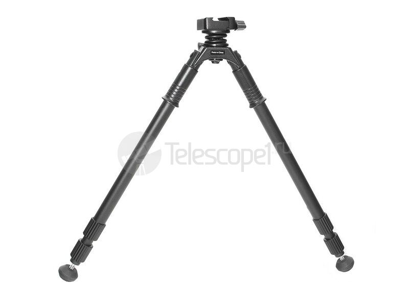 Vanguard Equalizer 2QS