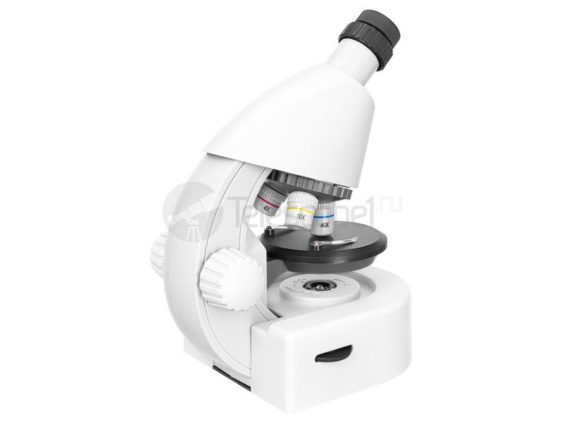 Discovery Micro Polar с книгой Discovery Micro Polar с книгой