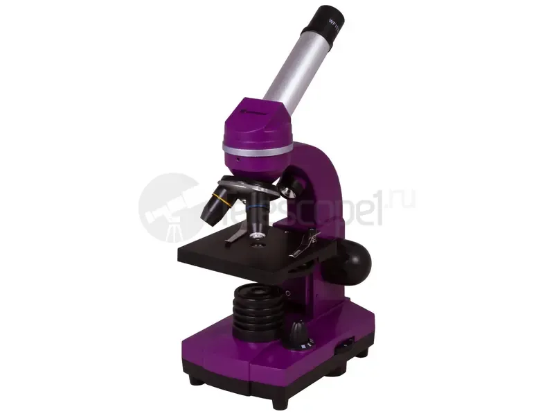 Микроскоп Bresser Junior Biolux SEL 40x-1600x, фиолетовый