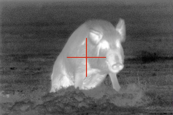 Посмотреть в прибор